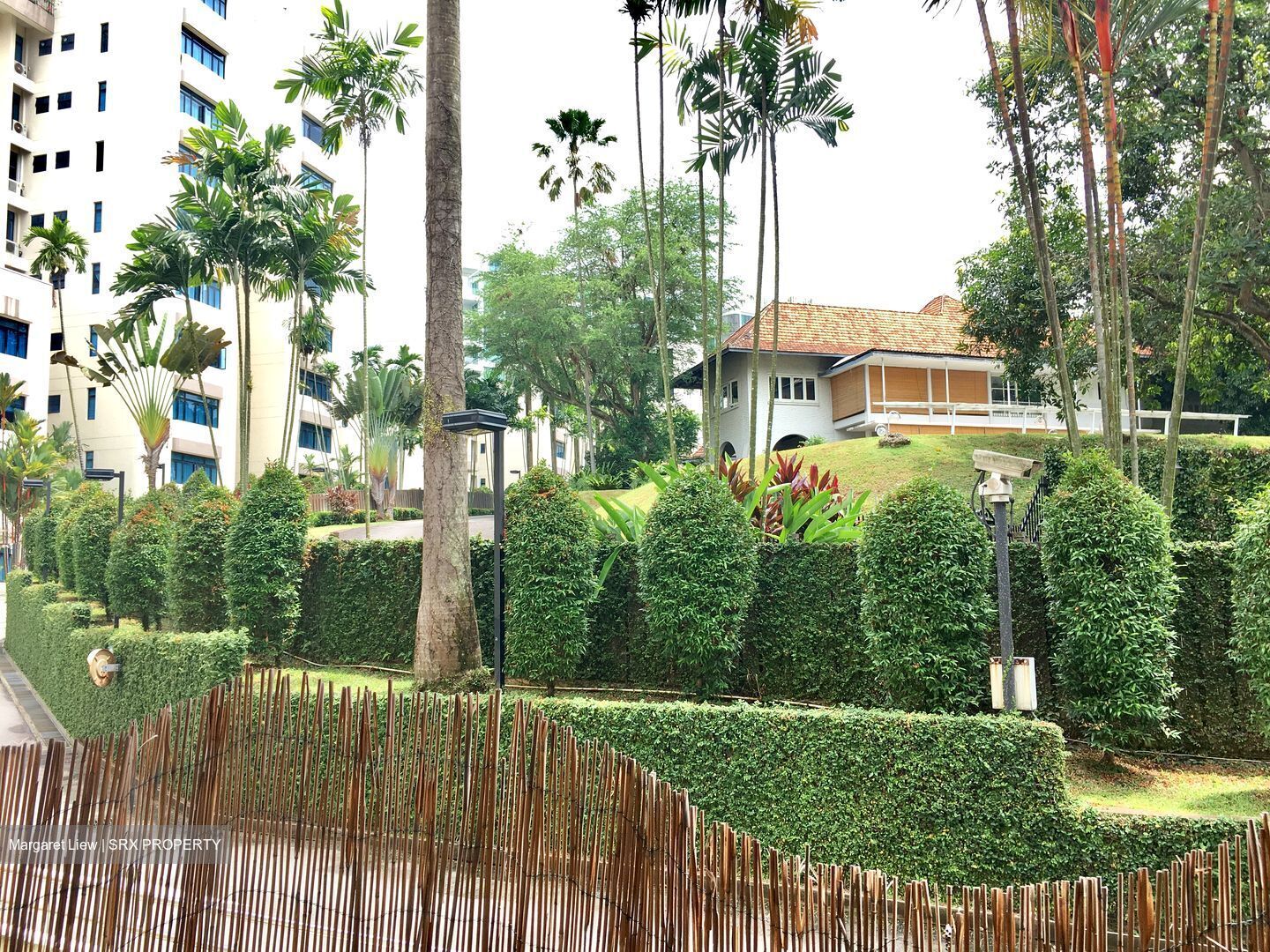Holland Peak (D10), Condominium #563600511